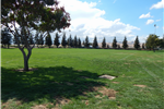 Sports Park Soccer Field